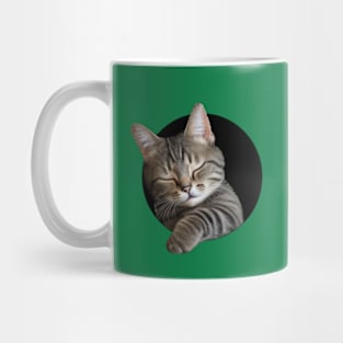 Cute sleeping kitten (too cute!) Mug